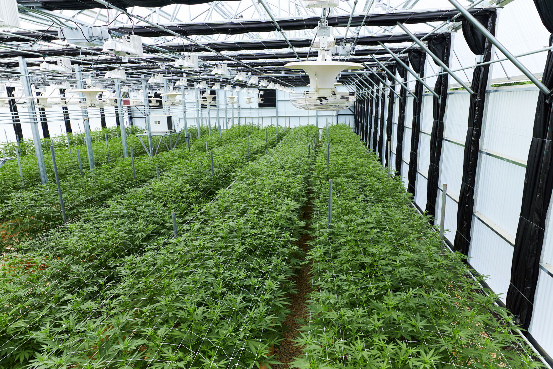 greenhouse.jpg